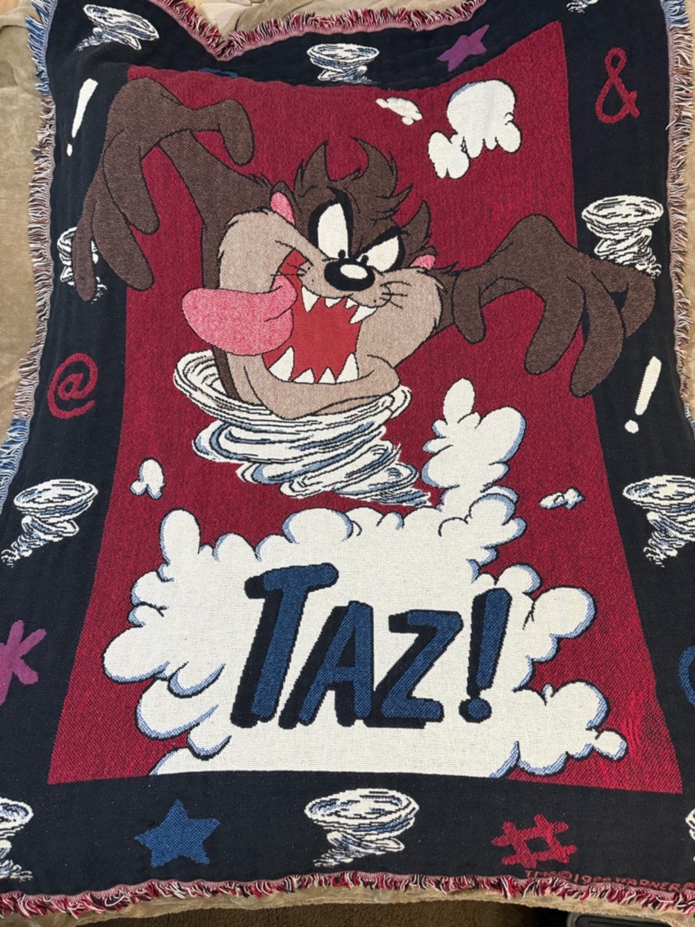Looney Tunes Tasmanian Devil Vintage 1990s"Taz" Woven Throw Blanket - 50” X 71”